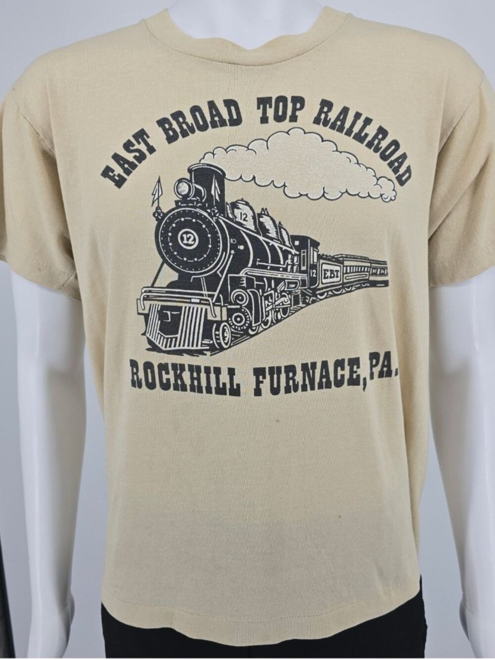Vintage 1980s East Broad Top Railroad Rockhill Furnace Pennsylvania T-Shirt (L)